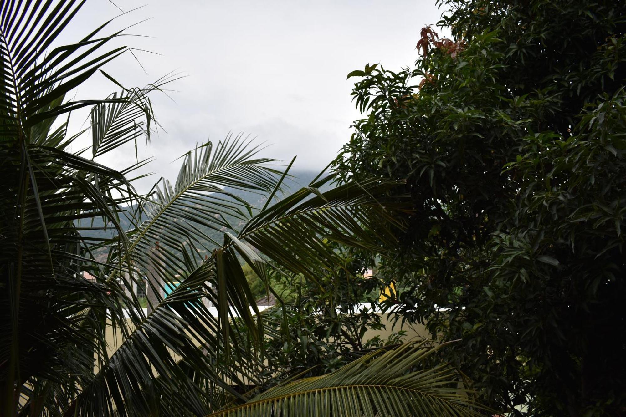 Rainbow Guest House Tiruvannamalai Exterior photo