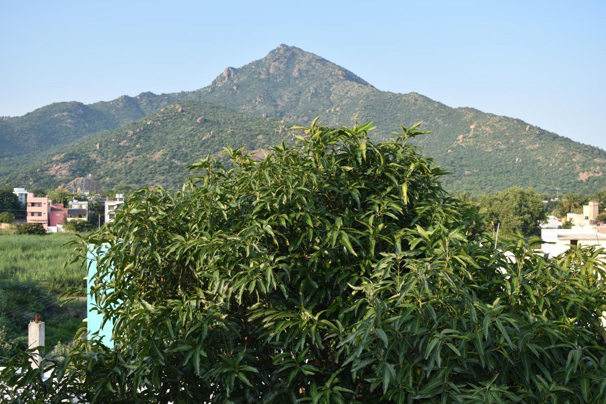 Rainbow Guest House Tiruvannamalai Exterior photo